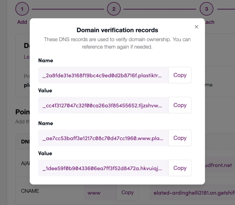 Screenshot: Copy all the names and values in the “Verify Domain Ownership” section