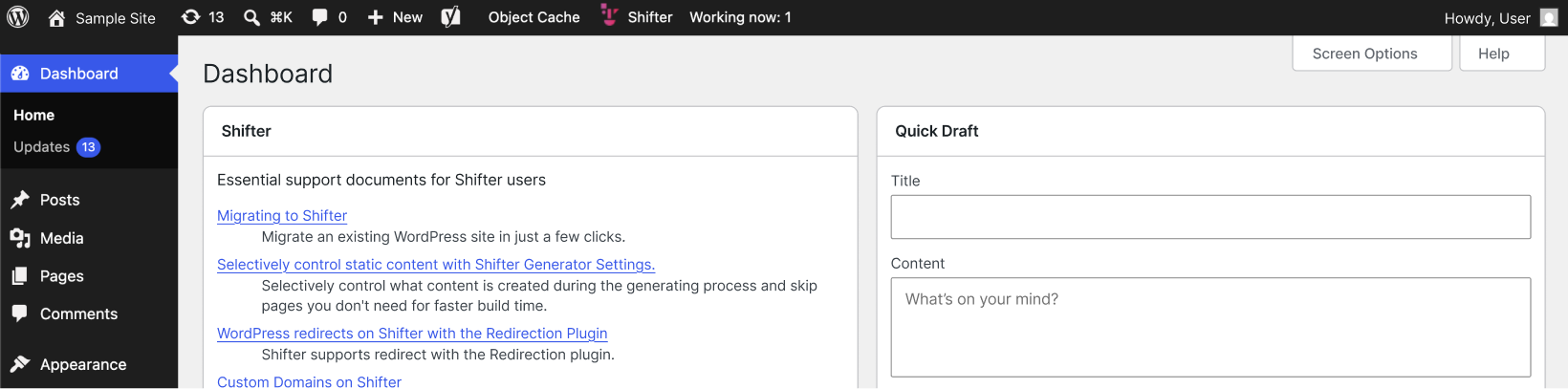 Screenshot: The WordPress admin panel will open in a new tab or window.