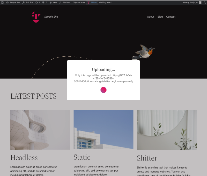 Screenshot: Uploading to the live site